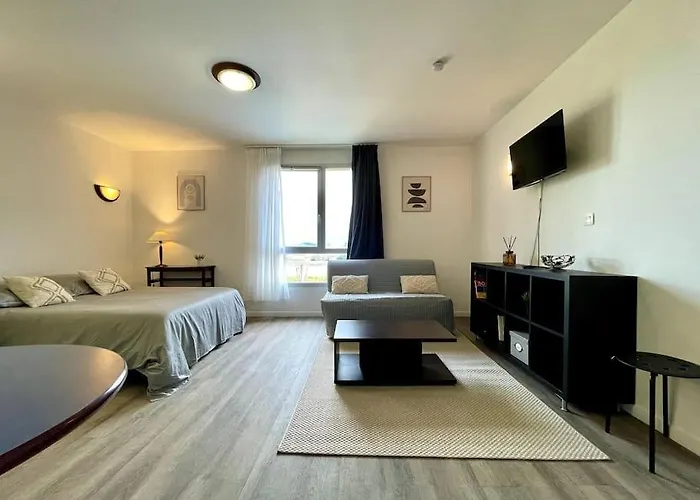 Zen ※ Parking - Piscine Apartment